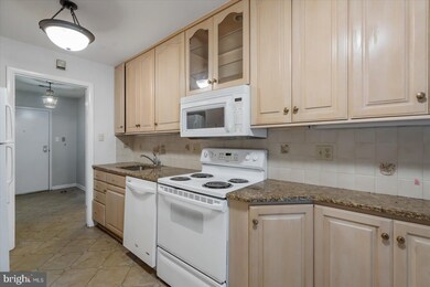 Heather Ridge unit 306, Baltimore, MD 21209 - photo 5