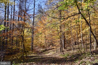 0 Bessie Bell Mountain Rd unit VARP107660, Castleton, VA 22716 - photo 5