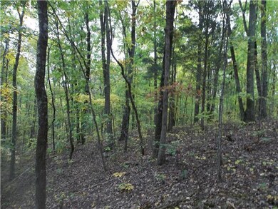 0 Mill Hollow unit RTC1494566, Linden, TN 37096 - photo 4