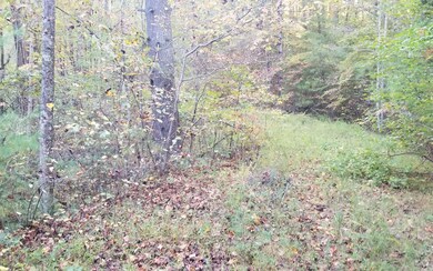 Additional View