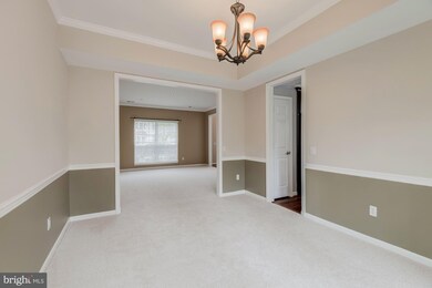 7105 Green Spring Ln, Alexandria, VA 22306 - photo 6