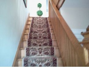 800 Milligan Hwy, Johnson City, TN 37601 - photo 4