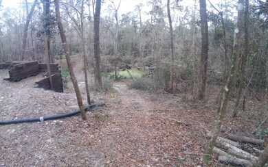 4092 Honeysuckle Cir, Middleburg, FL 32068 - photo 3