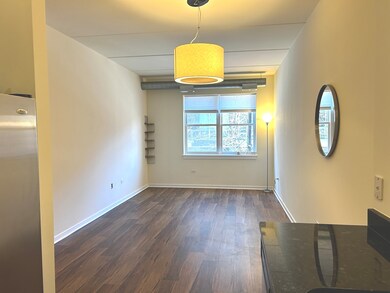 873 N Larrabee St unit 207, Chicago, IL 60610 - photo 2