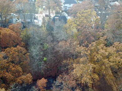 BackYard3