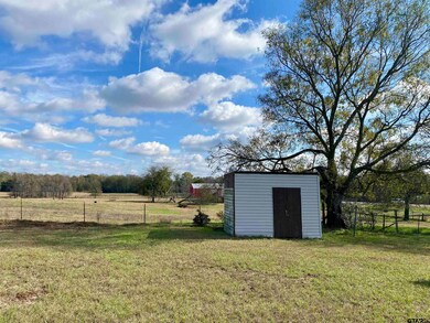 5706 Farm To Market Road 69, Quitman, TX 75783 - photo 3