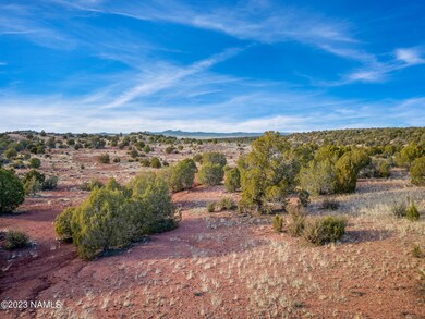0 W Ricardas Way unit 153 196940, Ash Fork, AZ 86320 - photo 6