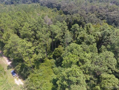 0 Chamblee Rd unit 552298, Kinston, AL 36453 - photo 4