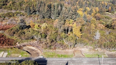 dji_fly_20231003_145734_677_169783707493