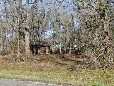 0 River Bend Dr unit 60811089, Brazoria, TX 77422 - photo 3