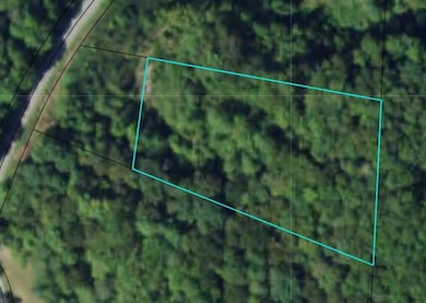 0 Slygo Rd unit 1385567, Wildwood, GA 30757 - photo 6