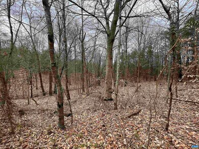 TBD Patrick Henry Hwy, Roseland, VA 22967 - photo 5