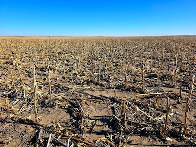 Tbd Road 143, Lodgepole, NE 69149 - photo 4