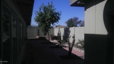 Wonderful Shade