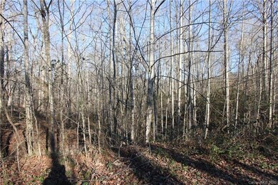 0000 Creekstone Ct, Lincolnton, NC 28092 - photo 3