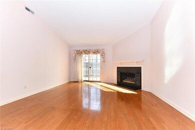 Living Room with Fireplace