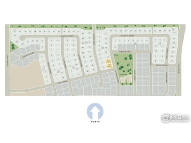 3976 Sandoval St, Brighton, CO 80601 - photo 5