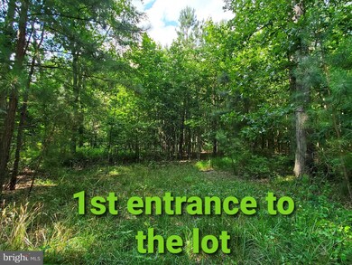 0 NW Goose Nest unit DESU2001902, Laurel, DE 19956 - photo 5