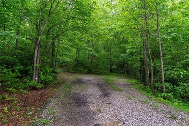 Lot #739 sits to the left of the dead-end on Rhodo