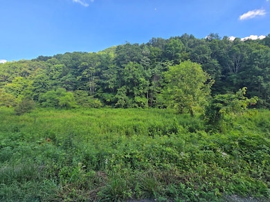 TBD Cliff Rd, North Tazewell, VA 24630 - photo 6