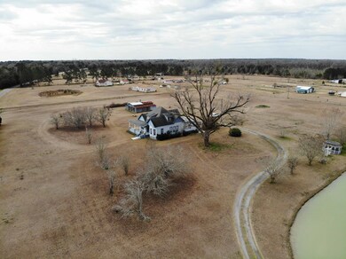 9035 Old Ga Highway 3, Baconton, GA 31716 - photo 7