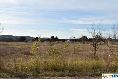 1733 Fort Panic Rd, Copperas Cove, TX 76522 - photo 3