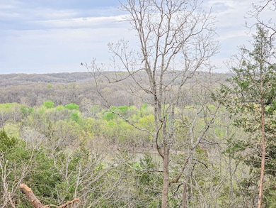 Tract 2 Easy St, Green Township, MO - photo 4