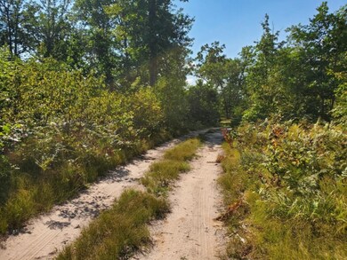 0 S Peacock Trail, Baldwin, MI 49304 - photo 6