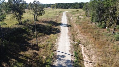 300 Buckhorn Creek Trail, Crockett, TX 75835 - photo 3