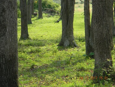 2884 Sims Rd, Shelbyville, TN 37160 - photo 3