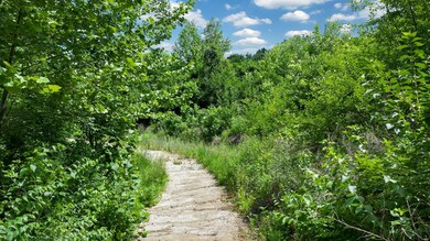 1188 Horsetail Woods Ct, Caseyville, IL 62232 - photo 7