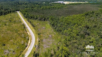 XX1 Decon Rd E, Bonifay, FL 32425 - photo 2