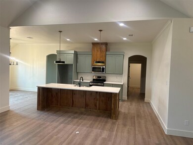 1049 Bermes Ct, Brock, TX 76087 - photo 4