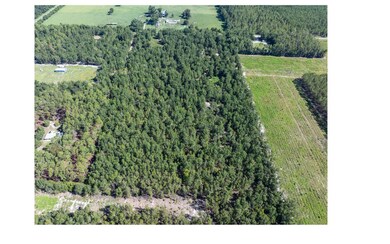 TBD 216th St, O'Brien, FL 32071 - photo 7