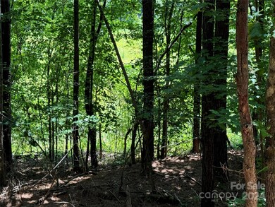 0 Edgerton Rd, Mill Spring, NC 28756 - photo 3