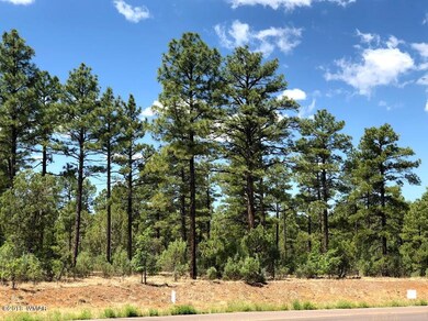 1 Woolford Rd, Show Low, AZ 85901 - photo 3