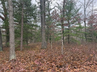 Parcel 2 Cleveland Dr, Bitely, MI 49309 - photo 4