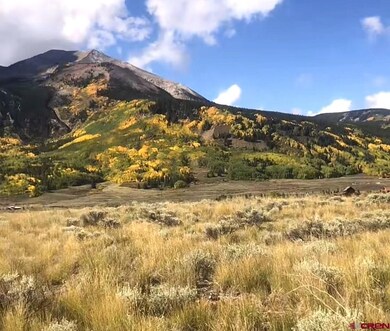 376 Wapiti Ln, Crested Butte, CO 81224 - photo 4