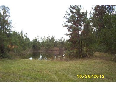 Photo. view of the pond