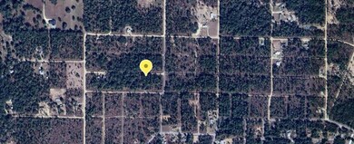 tbd NE 16th Place, Williston, FL 32696 - photo 4