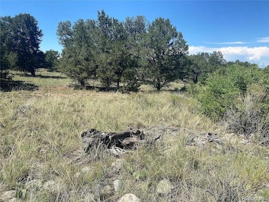 2049 Indian Well Overlook, Crestone, CO 81143 - photo 3