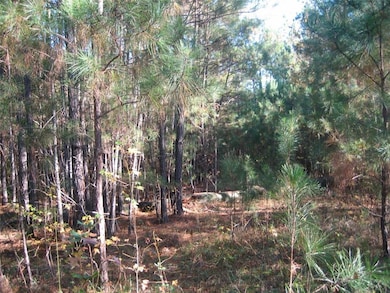 8050 Campbellton Redwine Rd, Palmetto, GA 30268 - photo 7