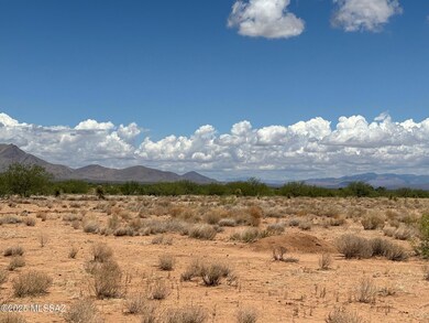 IMG_1757