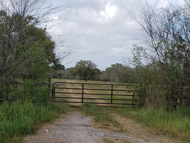3199 Fm 521 Rd, Brazoria, TX 77422 - photo 3