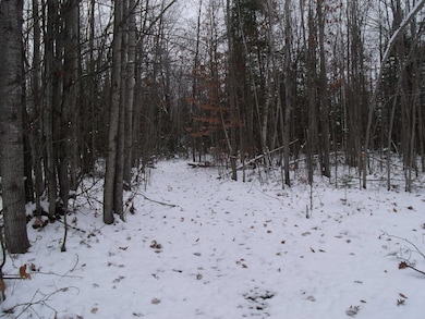 4100 Long Lake Rd, Cheboygan, MI 49721 - photo 3