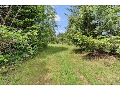 0 NW Pumpkin Ridge Rd, Northplains, OR 97133 - photo 5