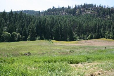 SPRING AREA