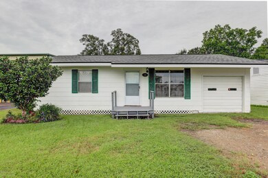 116 Camellia-2