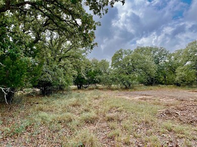 Lot 28 Kilkenny Rd, Poolville, TX 76487 - photo 2