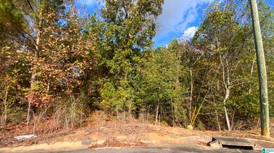 7408 Creek Trace Way unit 404, Bessemer, AL 35022 - photo 4